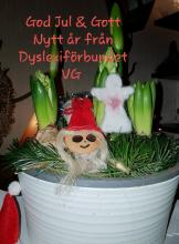 God Jul & Gott Nytt år önskar Dyslexiförbundet i Västra Götaland 
