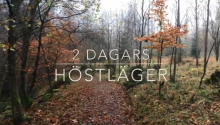 Bild på en skog från filmen